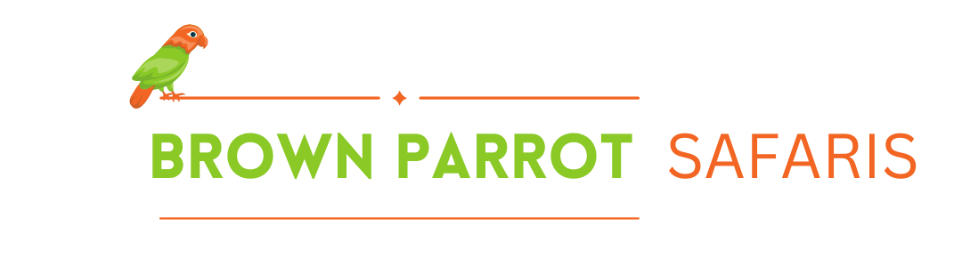 Brown Parrot Safaris