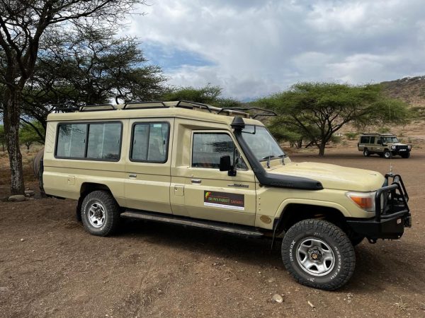 3 DAYS UNFORGETTABLE SAFARI