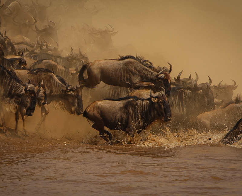 9 DAYS, HELLO TANZANIA!